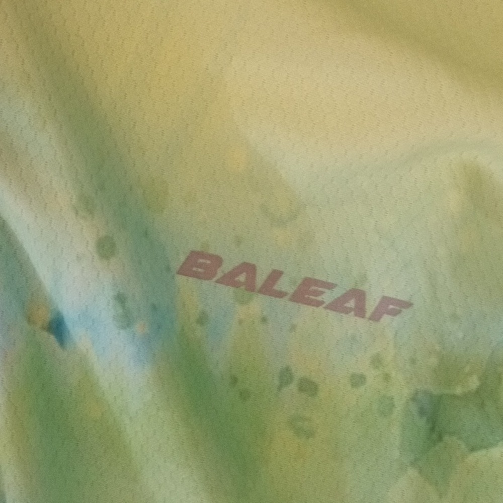 Bay leaf - Picture 3 of 5